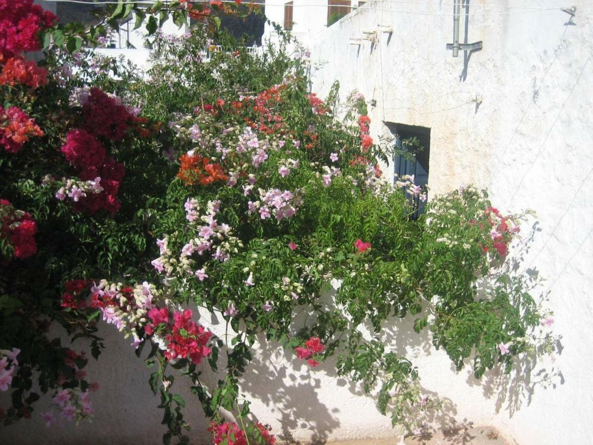 Casa De La Buganvilla Rodalquilar Εξωτερικό φωτογραφία
